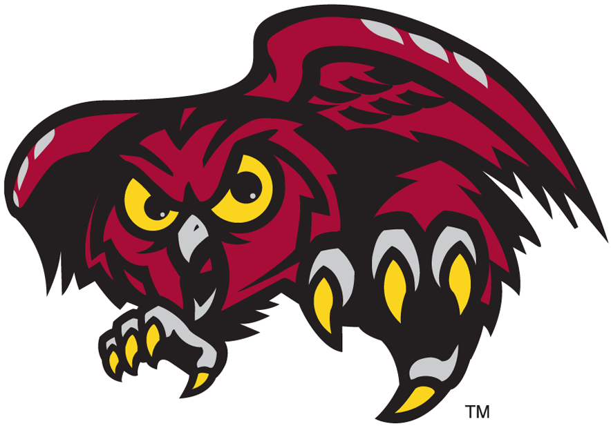Temple Owls 1996-Pres Alternate Logo v3 iron on transfers for clothing...